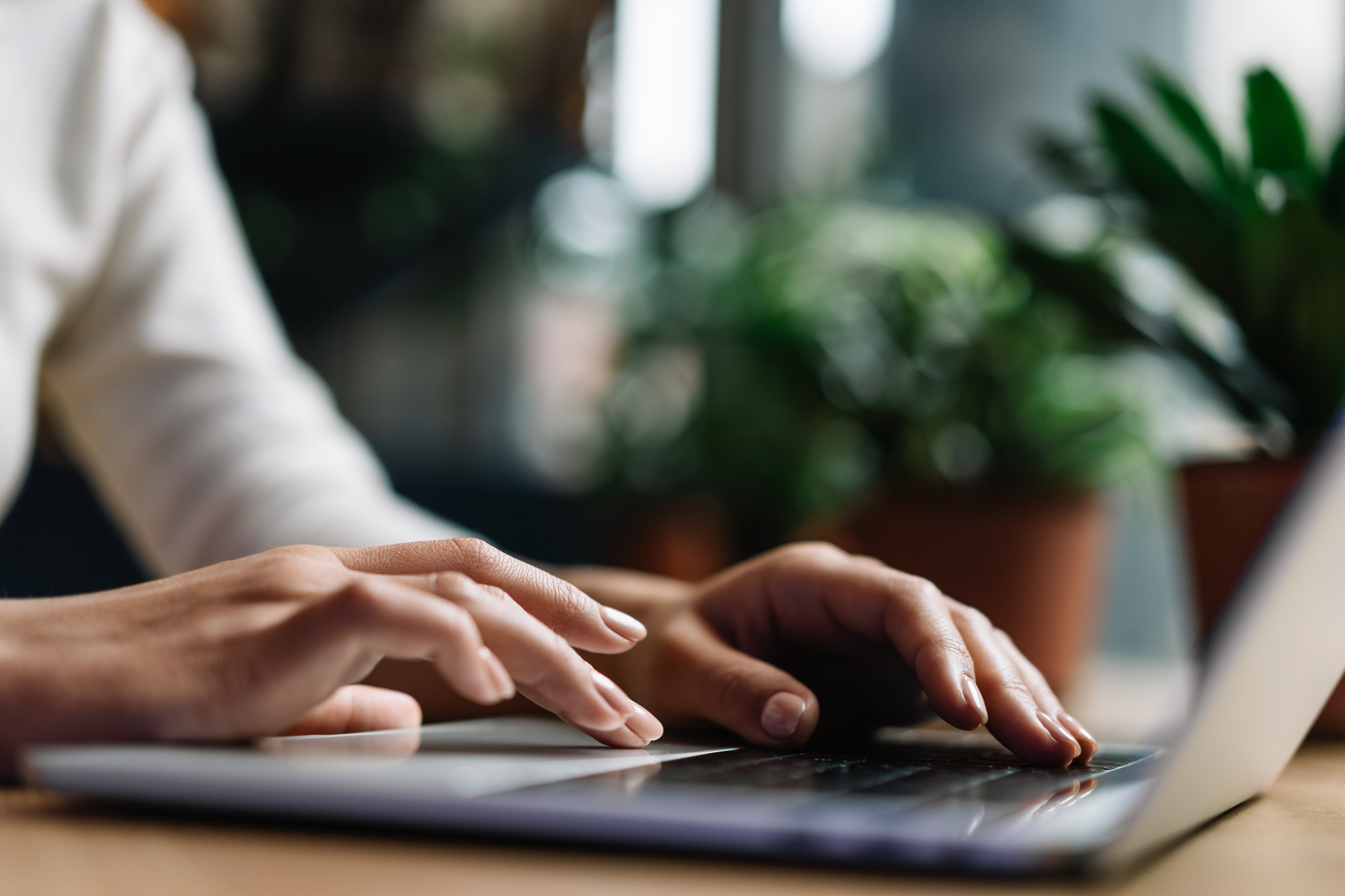 Person typing on laptop with plants in the background