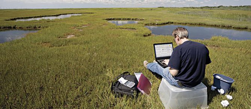 Walk the Walk and Work from Anywhere