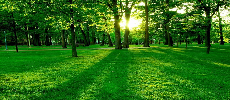 Red-hot Green Reports